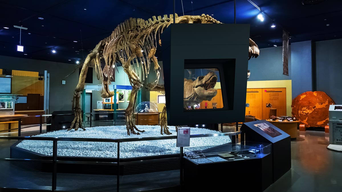 Looking through an augmented reality head-up display at a museum or exhibition, dinosaurs such as the T-Rex come to life and appear to be moving freely within the room. (via magic holo)